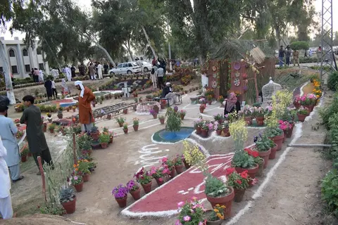 The Islamia University of Bahawalpur - IUB Bahawalnagar New campus in Bahawalnagar, Punjab