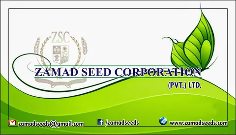 Zamad Seed Corporation. Pvt. Ltd in Sadiqabad, Punjab