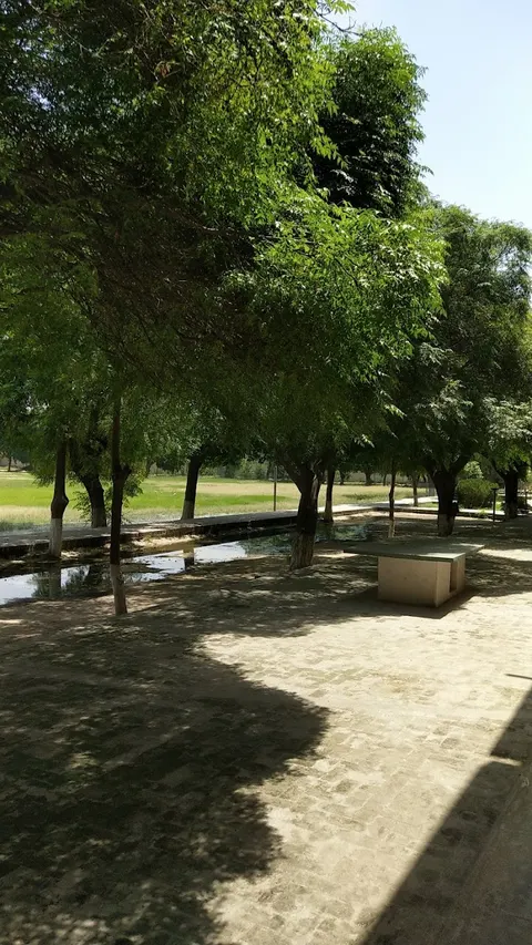 DPS College Okara (Boys Wing) in Okara, Punjab