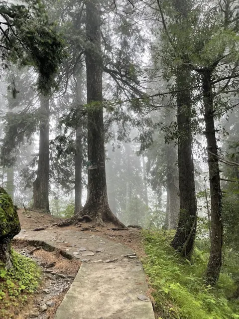 Lalazar Park in Nathia Gali, Khyber Pakhtunkhwa