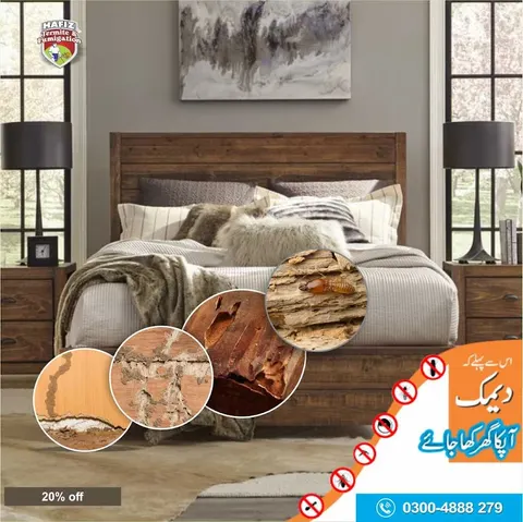Hafiz Pest Control in Lahore, Punjab