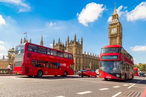 Hop On Hop off Bus Tours photo 5