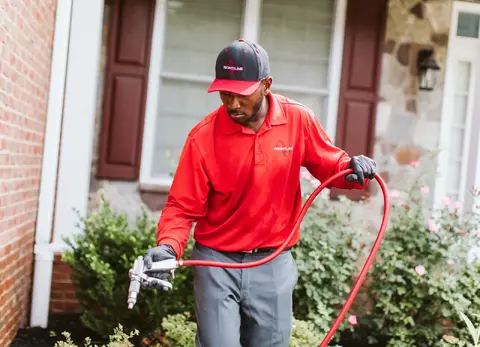 Frontline Pest and Termite of Dover