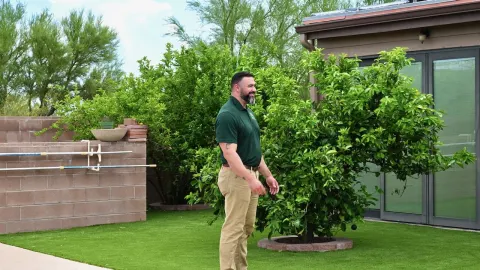 Artificial turf backyard with an outdoor kitchen by Sorce Signature Outdoor Co. in Tucson, AZ