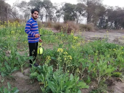 University Of Layyah in لیہ, پنجاب