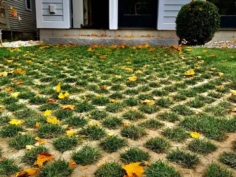 One Mow Co.