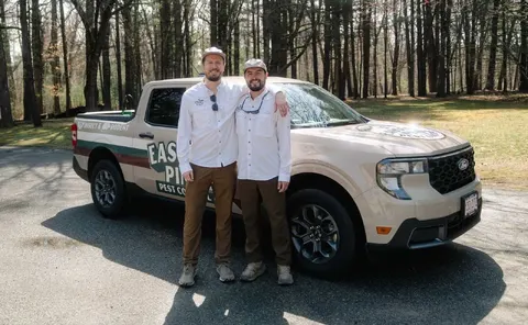 Eastern Pine Pest Control