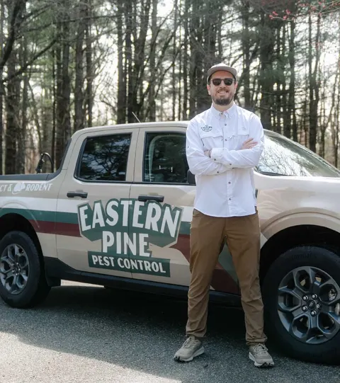 Eastern Pine Pest Control