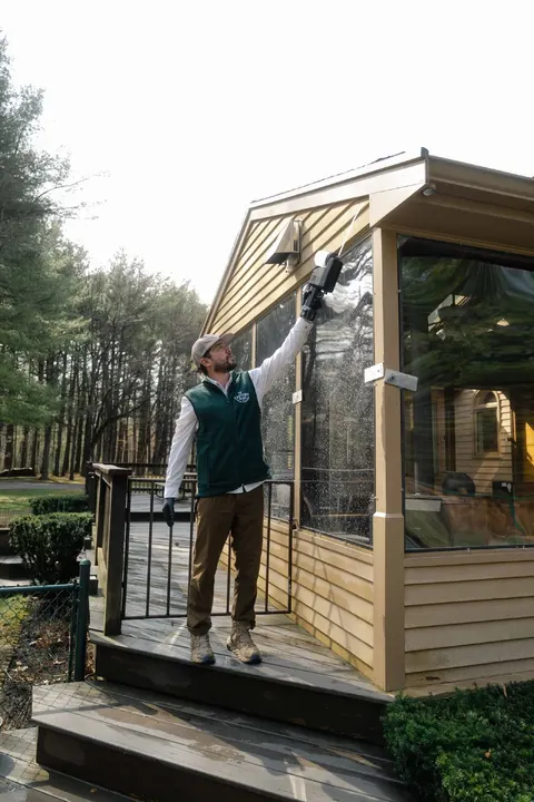 Eastern Pine Pest Control