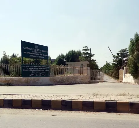Central Cotton Research Institute Multan in Multan, Punjab