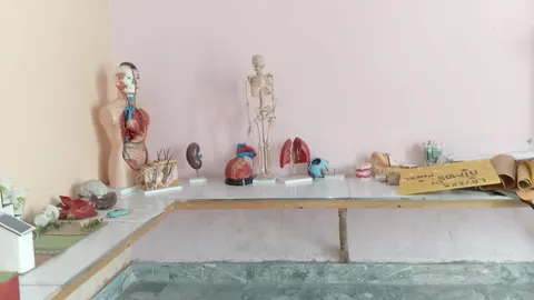 Allied School Al-Biruni Campus. Mor Mandi, Mandi Shah Jeewna