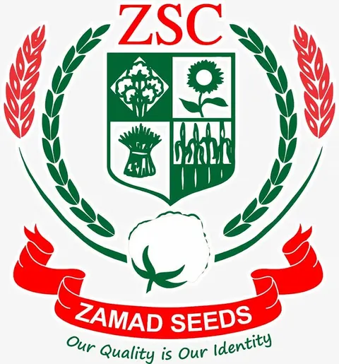 Zamad Seed Corporation. Pvt. Ltd in Sadiqabad, Punjab