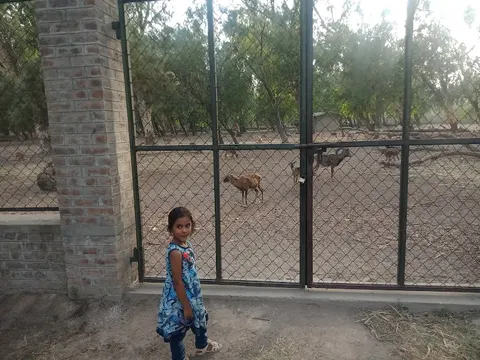 Wild Life Breeding Center Gatwala in Faisalabad, Punjab