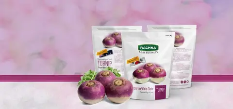 Rachna Agri Business in Gujranwala, Punjab