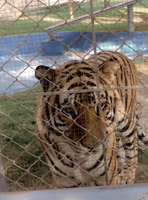 360 ZOO, DHA Multan in Multan, Punjab