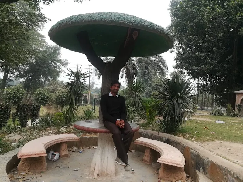 Canan Park Sahiwal, Wildlife And Safari Park in Sahiwal