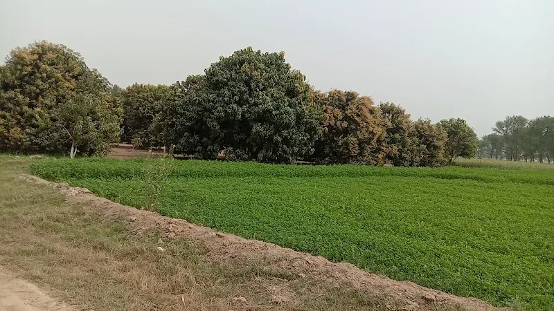 Moza Nanak Pur Tehsil & District Khanewal