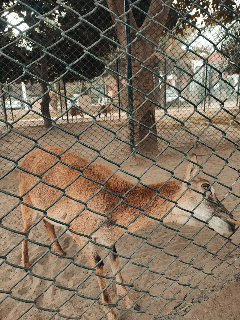 Safari Villas Park