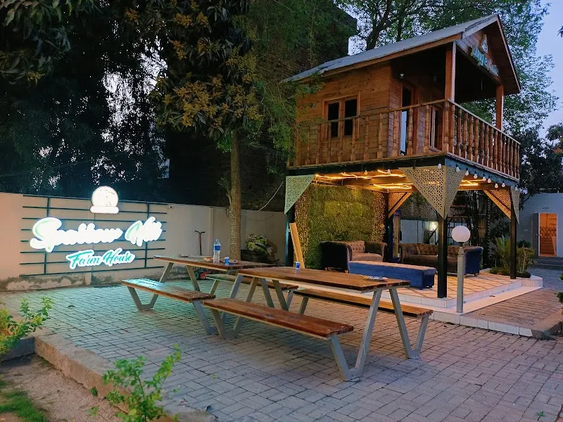 Sparrow hill farmhouse, Swimming Basin in Multan