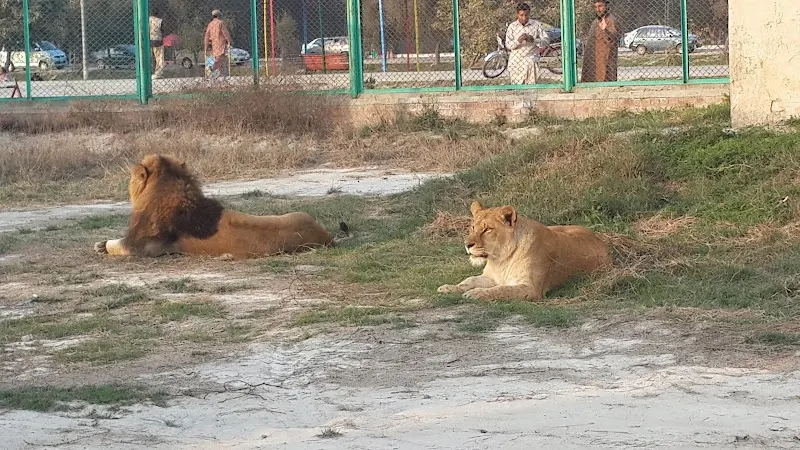 Lahore Wildlife Park