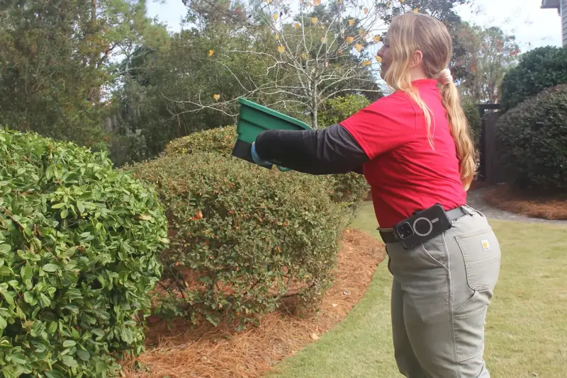 Palmetto Exterminators, pest control service in Greer