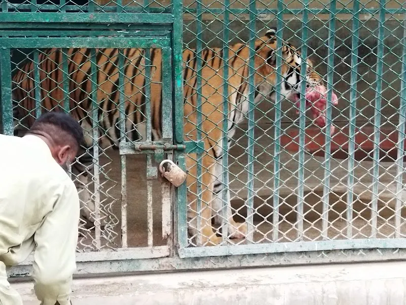 Lahore Wildlife Park, Wildlife Park in Lahore