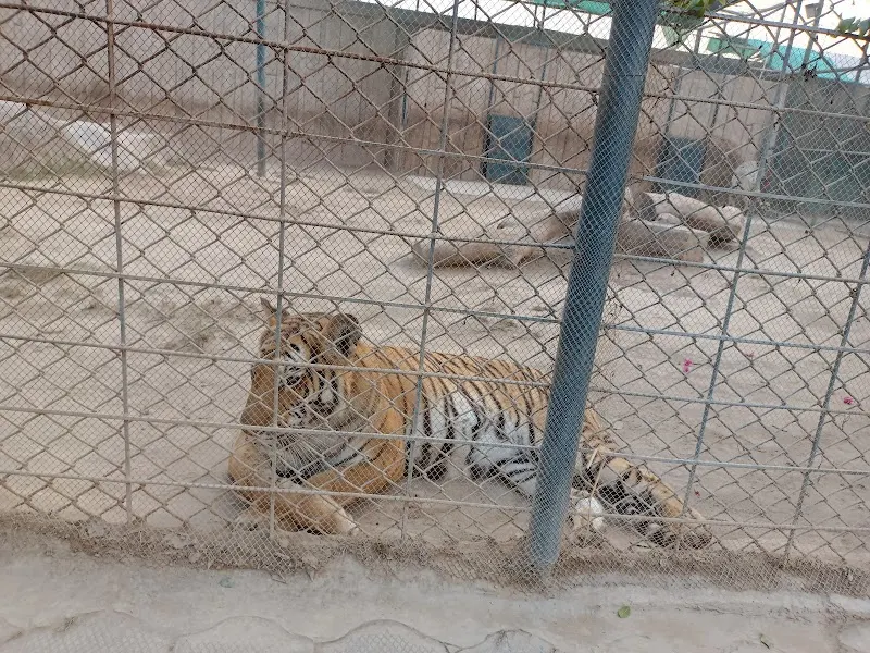 Citi Theme Park & Zoo, Skateboard Park in Multan