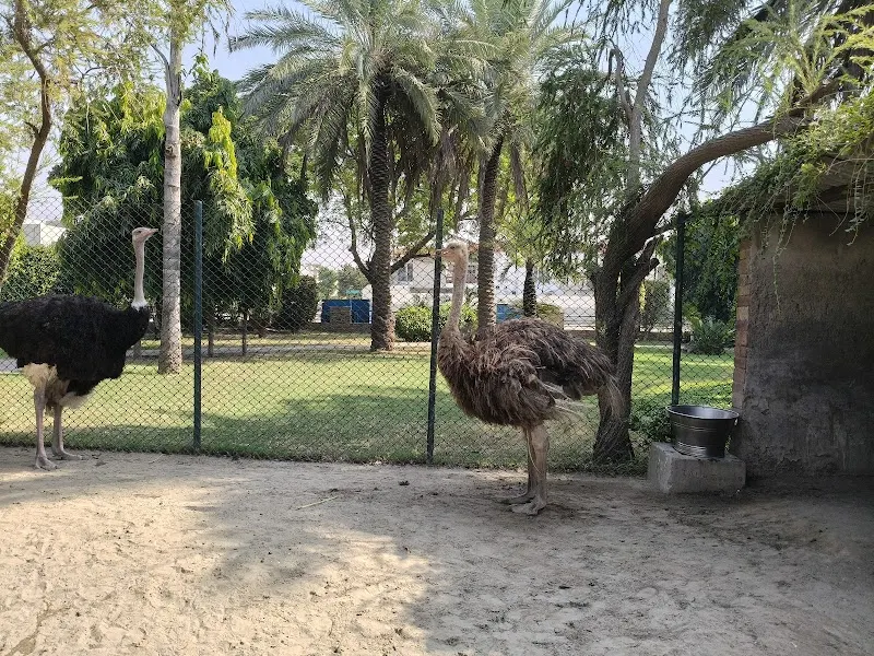 Safari Villas Park, Wildlife And Safari Park in Lahore
