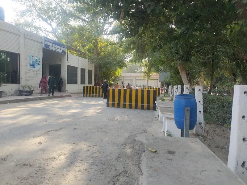 Haji Abdul Qayyum District Headquarter Hospital حاجی عبدلقیوم ہسپتال, Medical Certificate Service in Sahiwal