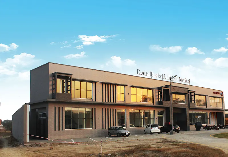 Round Lake Animal Hospital