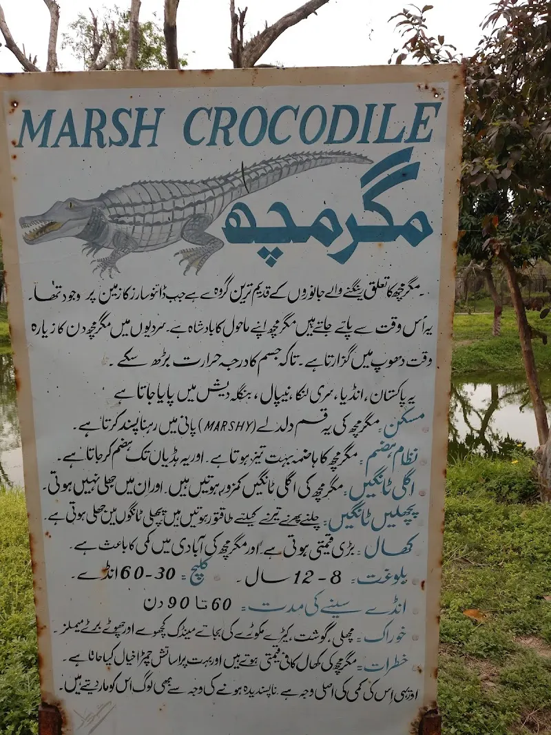 Wild Life Breeding Center Gatwala