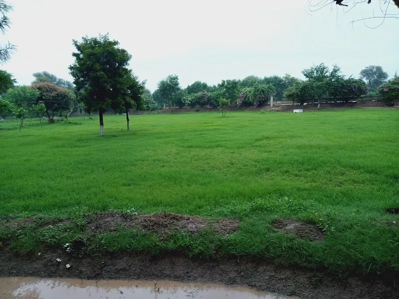 Mian Muhammad Zaman Public Park Okara, Weir in Okara