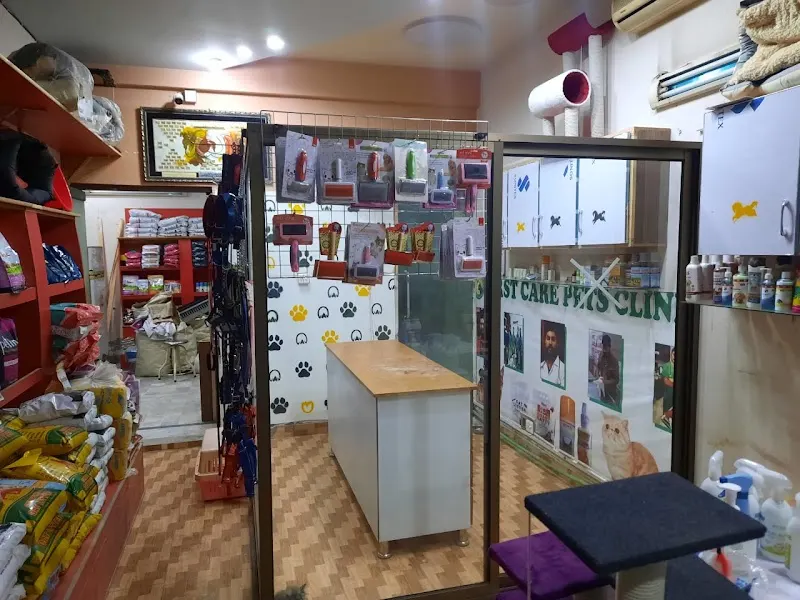 First Care Pets Clinic, Animal Control Service in Lahore