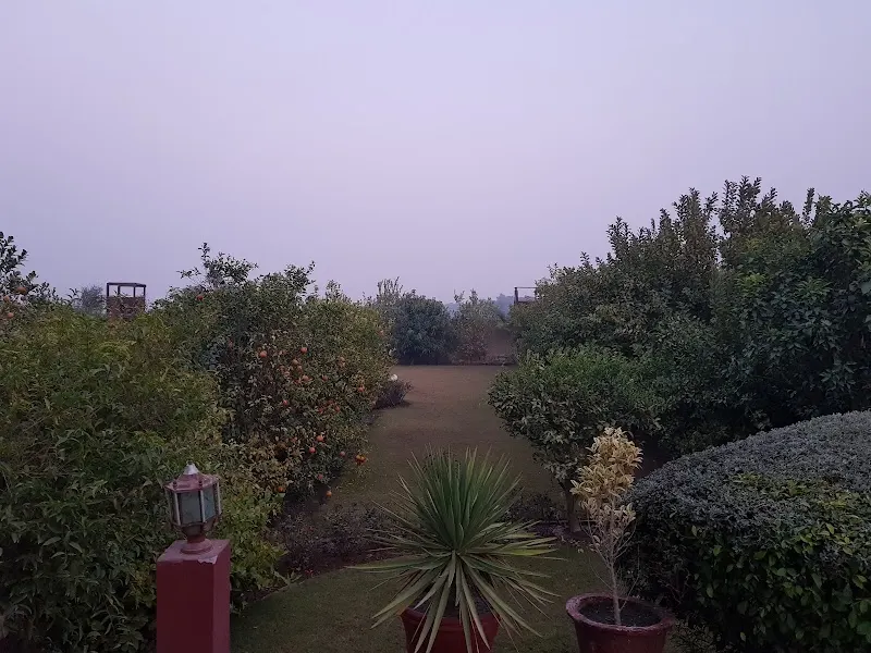 Arabian Lodges Hotel, Mountain Cabin in بہاولپور