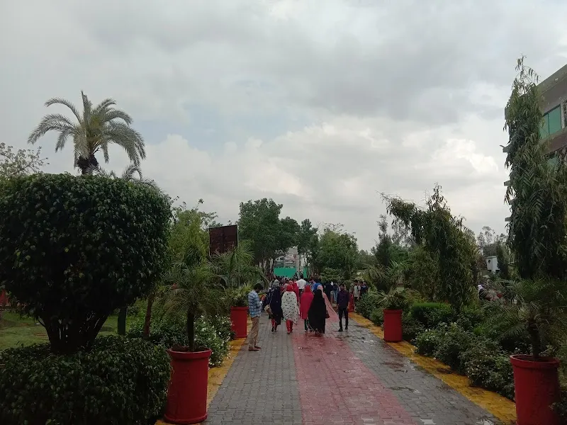 Government College University Faisalabad Layyah Campus GCUF Layyah Campus, Charter School in Layyah