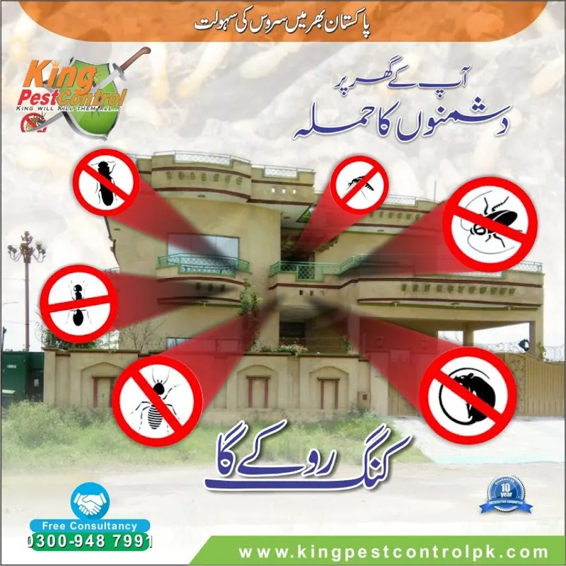 King Pest Control | Termite Treatment Services | Termite Control Lahore | Pest Control in Lahore, Animal Control Service in Lahore