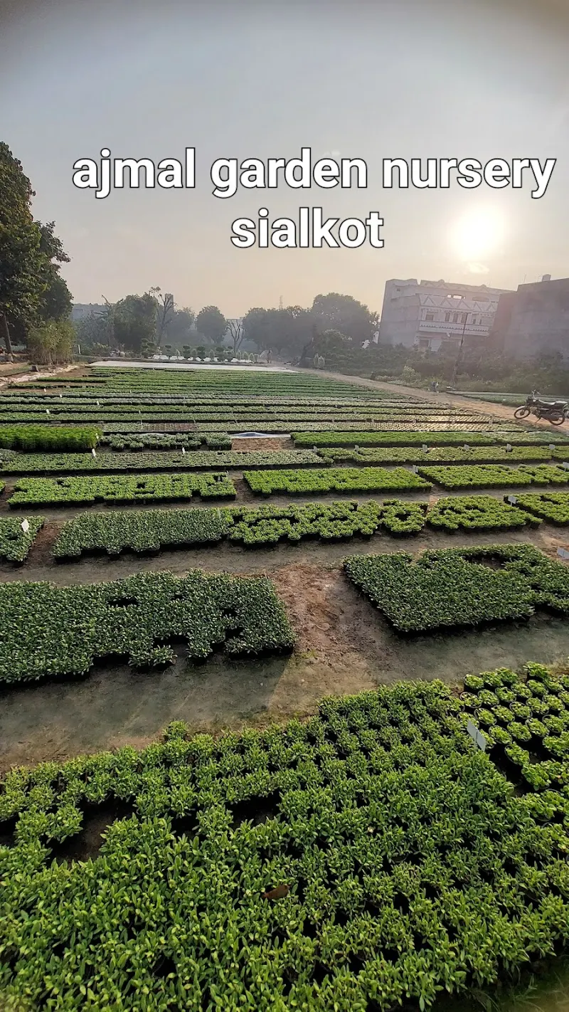 Ajmal Garden Nursery Sialkot, Mulch Supplier in Sialkot