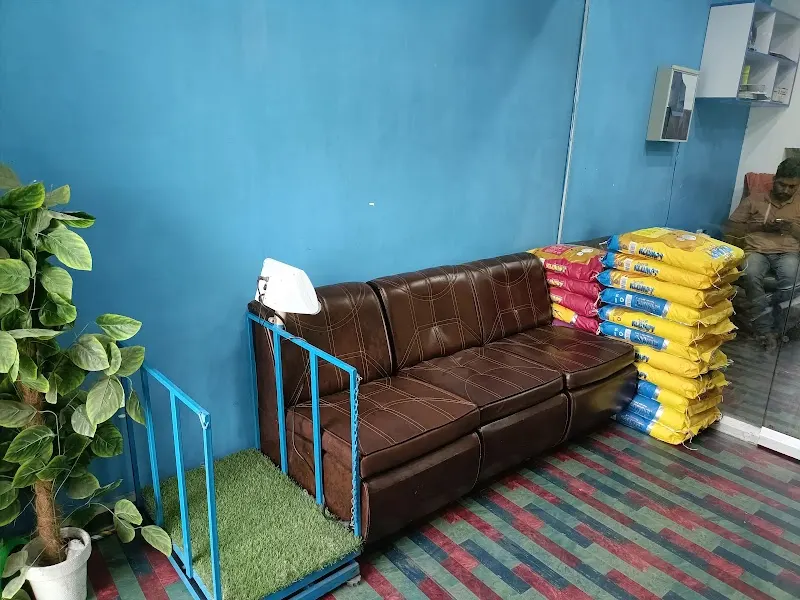 Save pets clinic