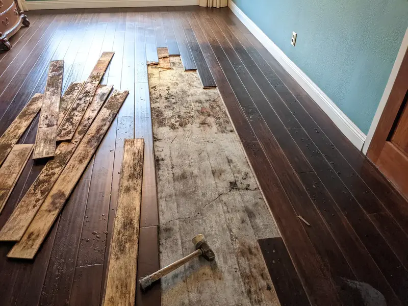 Only Wood Floors / Refinish Wood Floors, Floor Refinishing Service in Orange
