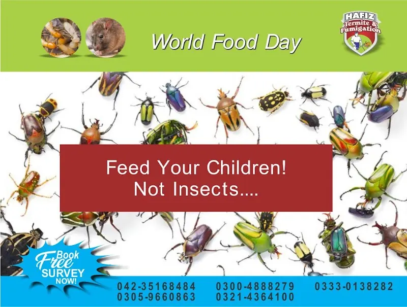 Hafiz Pest Control, Animal Control Service in Lahore