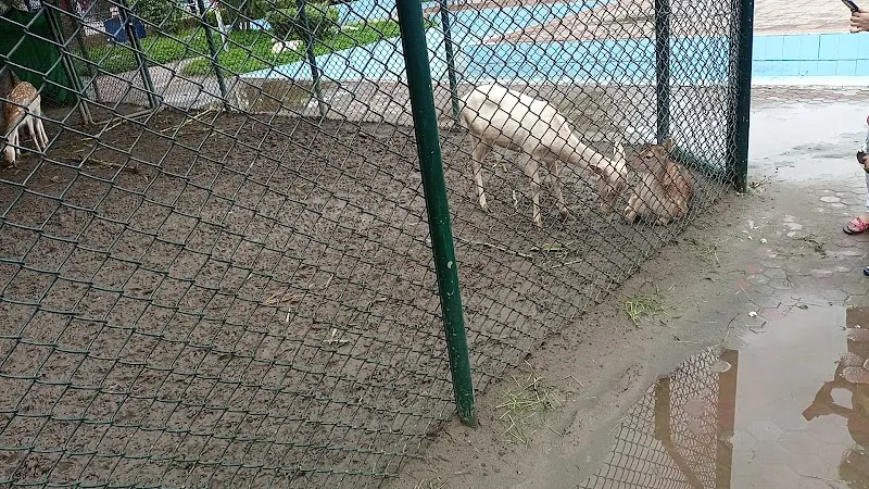 SafariPark