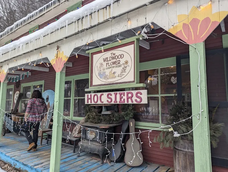 The Wildwood Flower & Jake Wildwood, Musical Instrument Repair Shop in Rochester