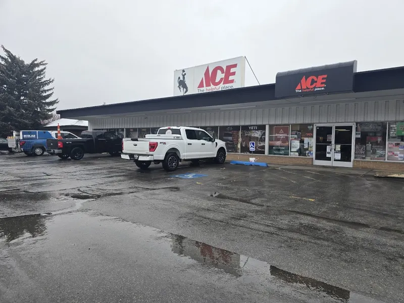Cazin's Ace Hardware, Handyman in Evanston