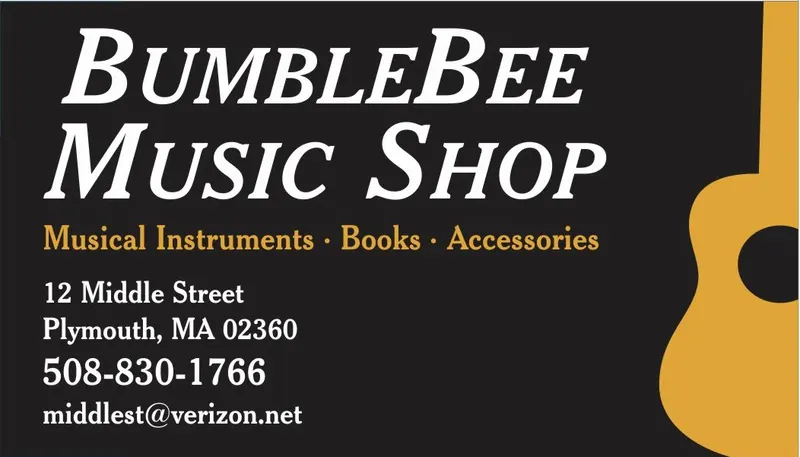 BumbleBee Music Shop, Musical Instrument Repair Shop in Plymouth