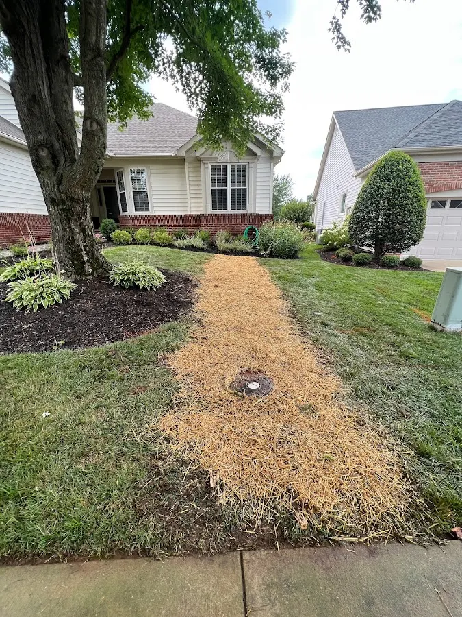 Home Service Pros - Quality Sewer & Drain, plumber in Arlington