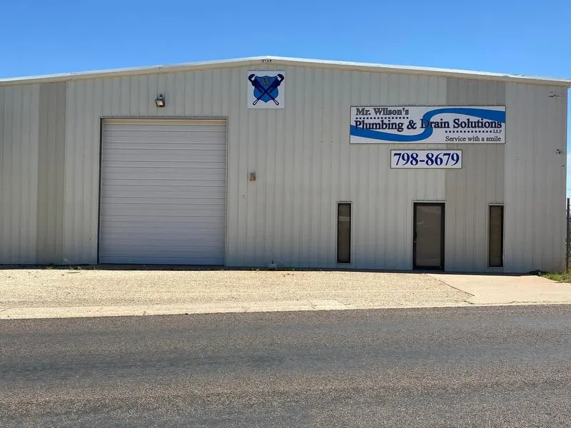 Mr. Wilson's Plumbing and Drain Solutions