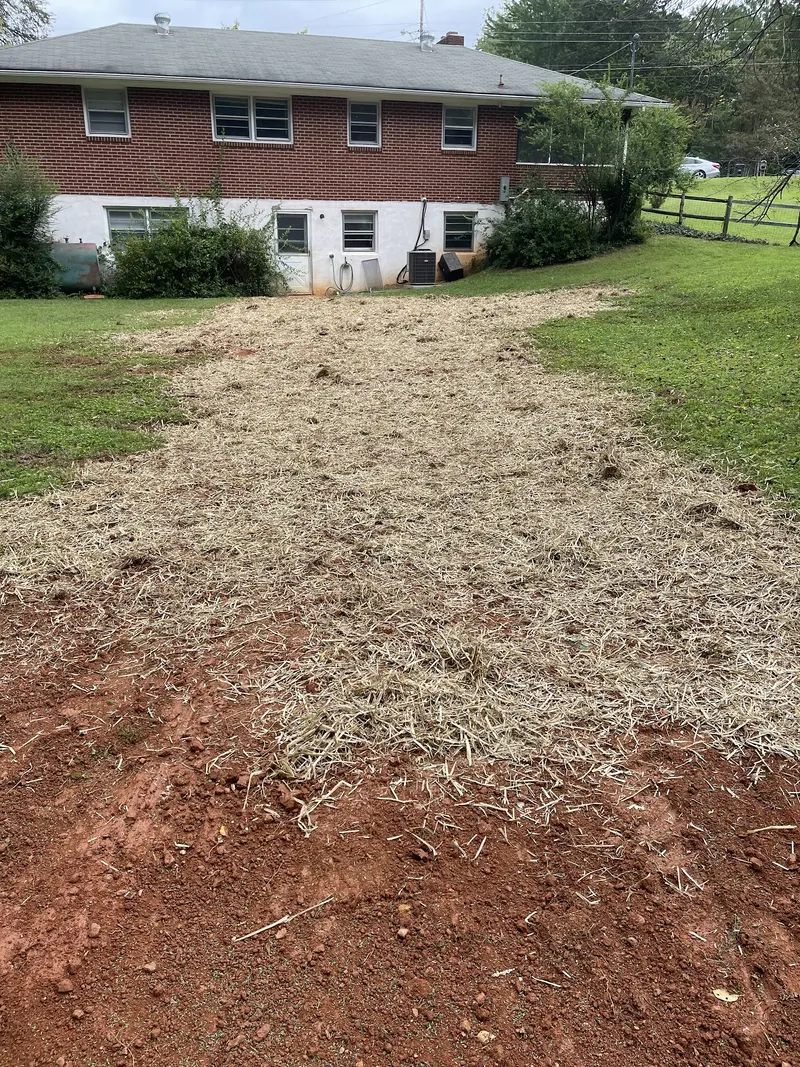 Lights Plumbing & Drain Cleaning LLC. Lynchburg va plumber