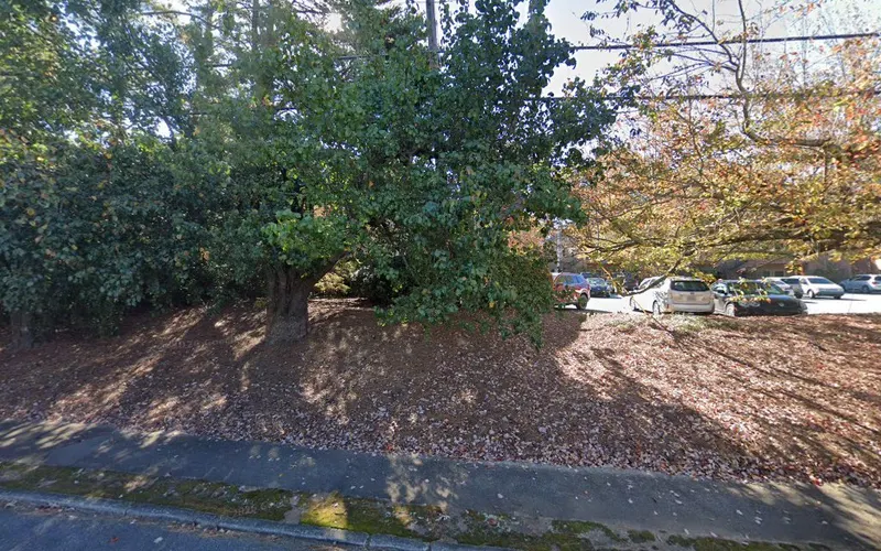 Chimney Pro Cleaners Metro, Chimney Services in Dunwoody