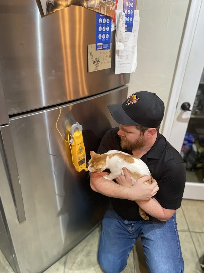 Phoenix Appliance Repair, LLC, Appliance Repair Service in Gilbert