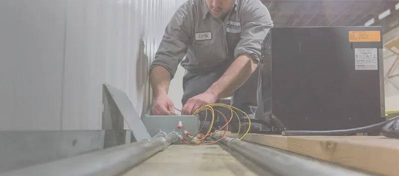 Webster Electric
